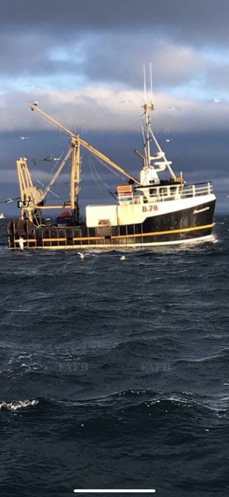 Macallister design Steel multipurpose