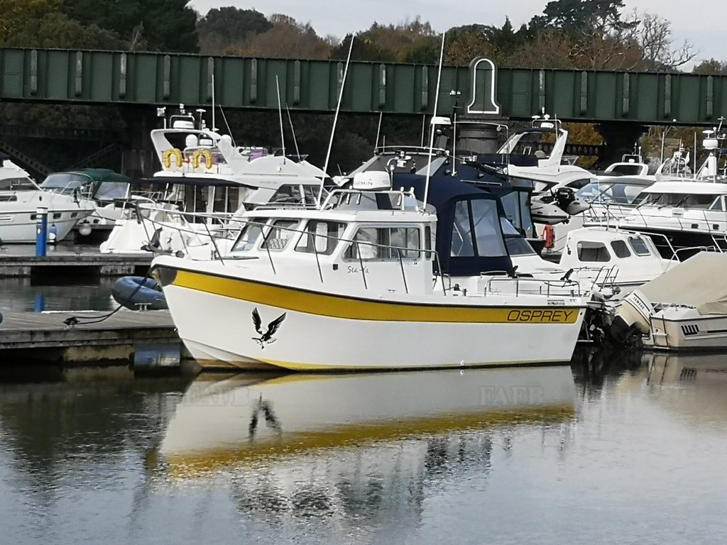 Osprey 24