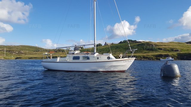 Large picture for advert 97921