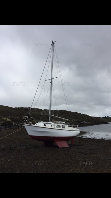 Large picture for advert 97921