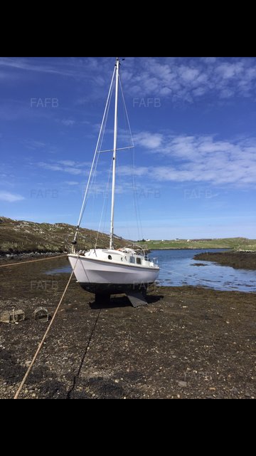 Large picture for advert 97921