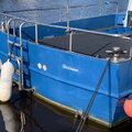 Extra picture for advert 113221