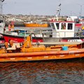 Extra picture for advert 102921